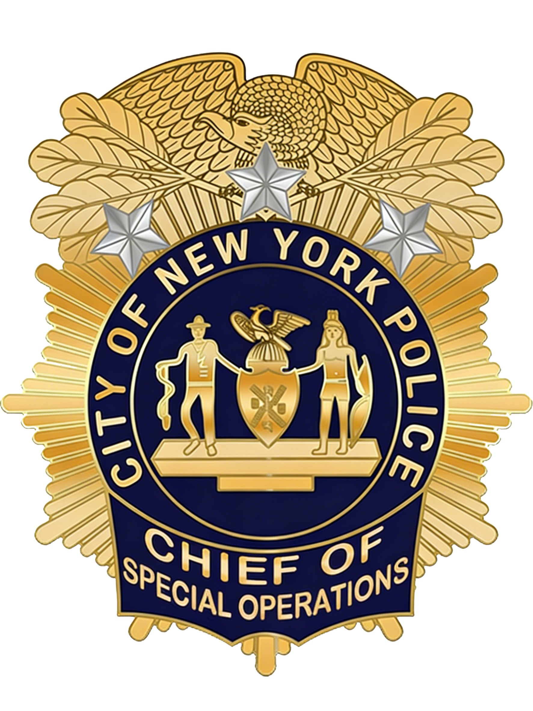 特别行动局局长